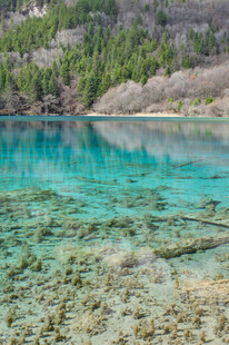 清澈蓝湖与湖底景致