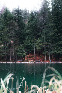 湖畔森林美景