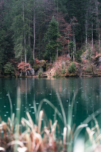 森林湖畔美景