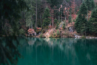 静谧山林中的碧绿湖水
