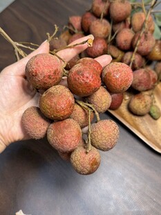 荔枝