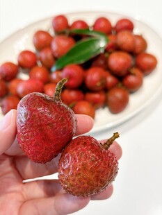 荔枝