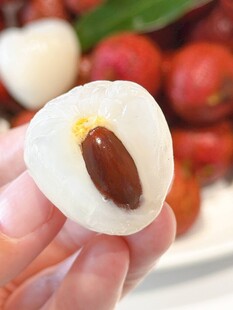 荔枝
