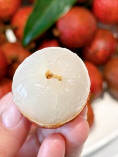 荔枝