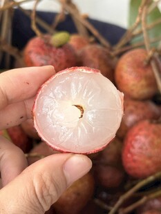 荔枝