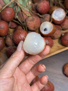 荔枝
