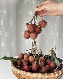 荔枝