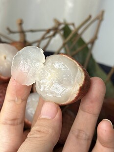 荔枝