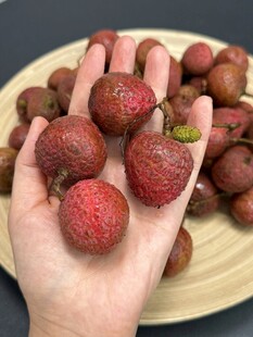荔枝
