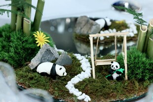 熊猫微景观摆件