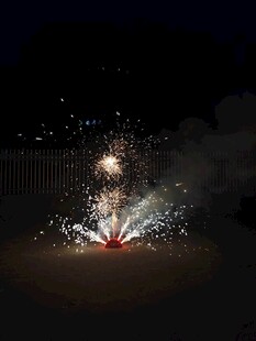 夜空中绽放的绚烂烟花