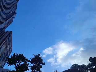 城市蓝天与楼宇绿植景观