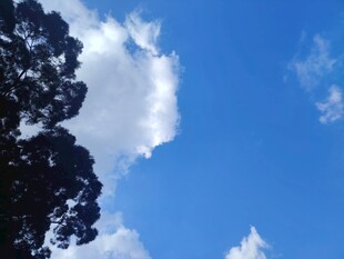 蓝天绿树间的白云美景
