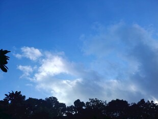 蓝天绿树间的白云美景