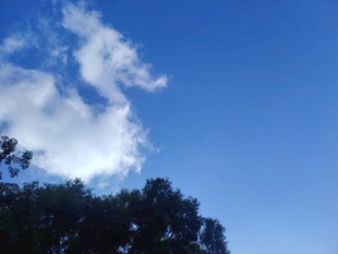 蓝天绿树间的云朵美景