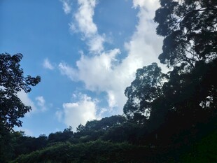 山林间的蓝天白云美景