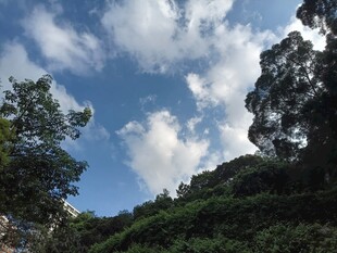 蓝天绿树间的自然景致