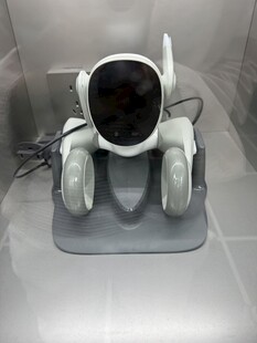 小型机器人 科技