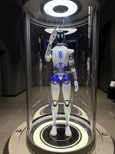 展示柜中的智能机器人