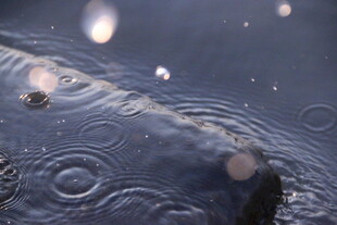 雨滴落入水面泛起涟漪