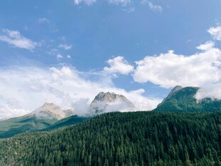 青山翠林间的巍峨山峰