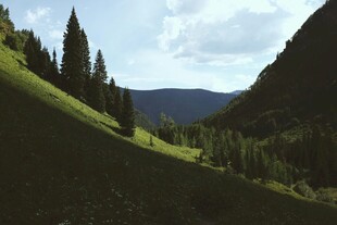 山间绿意盎然的秀丽景致