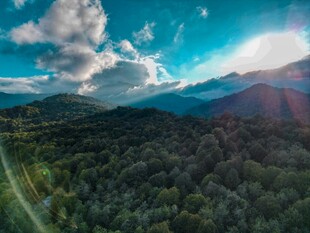 山间美景阳光洒落森林
