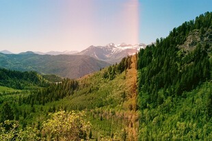 山间绿野美景