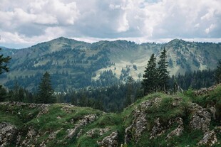 山峦森林美景