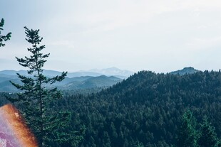 山林间的壮美自然景观