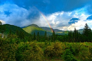 山间绿野