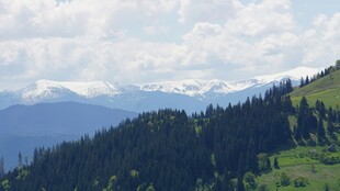 青山翠林间的秀丽山景