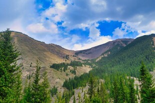 壮丽山间森林美景