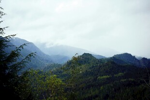 云雾缭绕的翠绿山峦