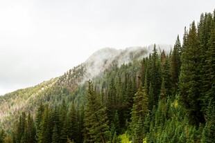 山林云雾缭绕的自然美景