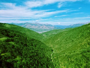 翠绿山峦间的壮美风光