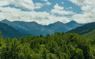 青山绿树间的壮美山景