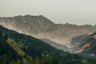 壮丽山峦间的葱郁山林