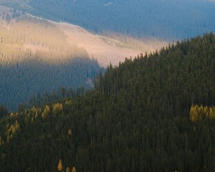 山林晨曦美景