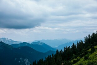 山峦云海间的葱郁景致