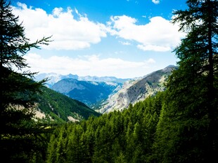 山间葱郁森林与远处山峦