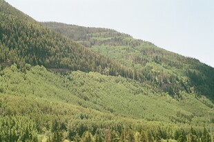 翠绿山峦间的清新自然景