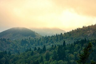 黄昏下的山林美景