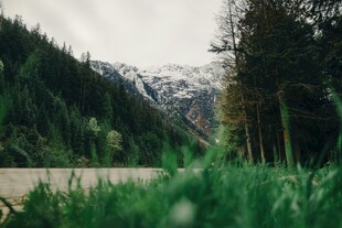 山间绿野静谧自然之景