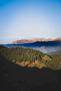 山间晨景林木与远山相映
