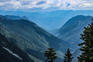 壮丽山峦与松林景观