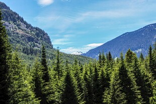 山林美景自然清新风光