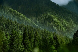 山林葱郁间的自然美景