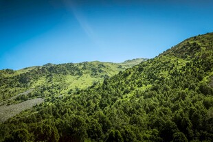 翠绿山峦蓝天映衬美景