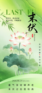 末伏清新荷花与茶饮海报